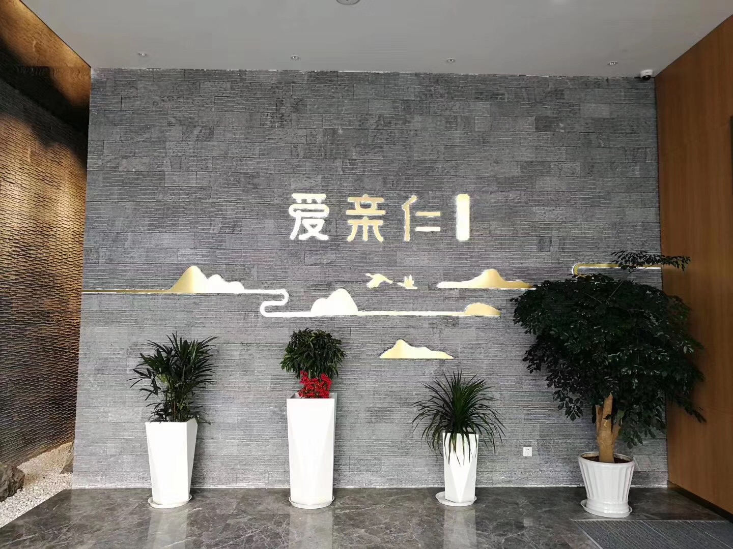 上(shàng)海(hǎi)市(shì)楊浦區(qū)愛(ài)親仁護理(lǐ)院滑動懸挂治療系統裝機(jī)培訓完成!